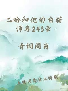 二哈和他的白猫师尊243章