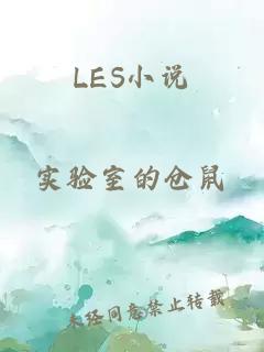 LES小说