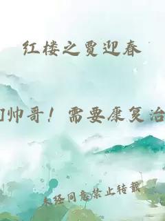 红楼之贾迎春