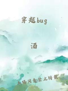 穿越bug