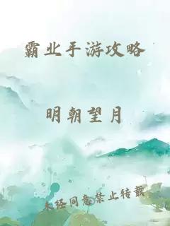 霸业手游攻略