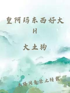 皇阿玛东西好大H