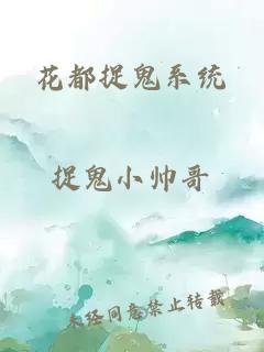 花都捉鬼系统