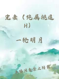 宠妻（纯属挑逗H）