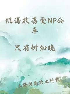 饥渴放荡受NP公车