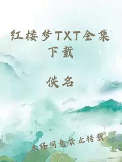 红楼梦TXT全集下载