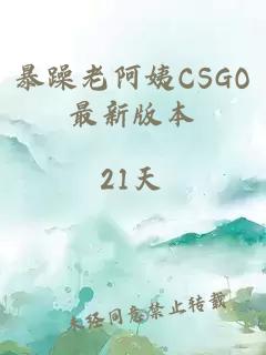 暴躁老阿姨CSGO最新版本