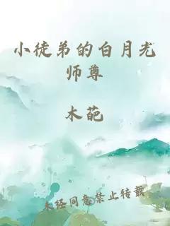 小徒弟的白月光师尊