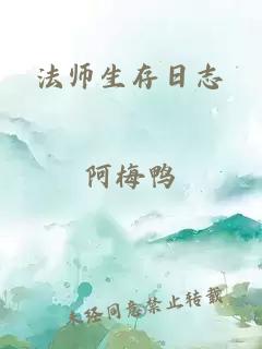 法师生存日志