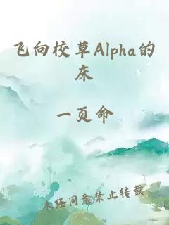 飞向校草Alpha的床