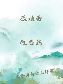 孤烛雨