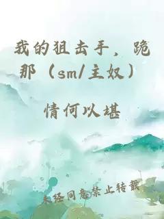 我的狙击手，跪那（sm/主奴）