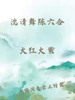 沈清舞陈六合