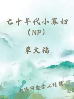 七十年代小寡妇（NP）