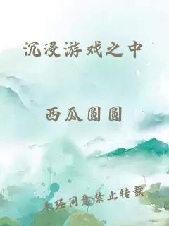 沉浸游戏之中