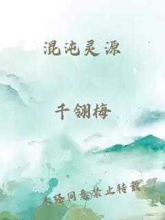 混沌灵源