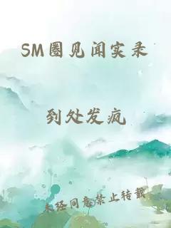 SM圈见闻实录