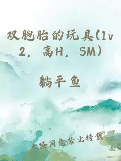 双胞胎的玩具(1v2，高H，SM)