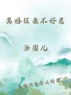 离婚狂妻不好惹