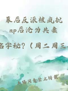 幕后反派被疯批np后沦为共妻