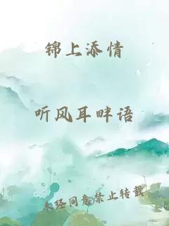 锦上添情