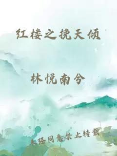 红楼之挽天倾