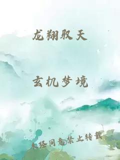 龙翔驭天