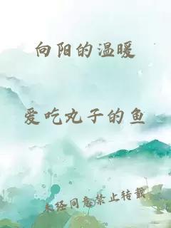 向阳的温暖