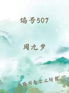 编号507