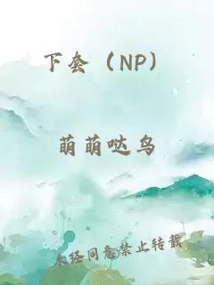 下套（NP）