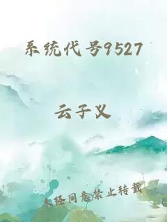 系统代号9527