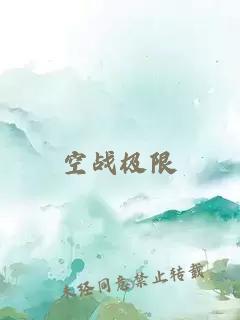 空战极限