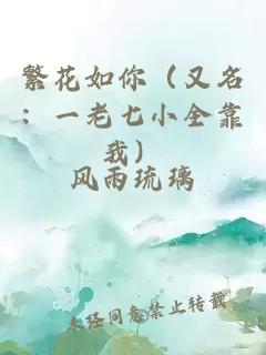 繁花如你（又名：一老七小全靠我）