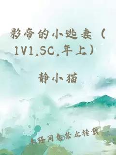 影帝的小逃妻（1V1,SC,年上）