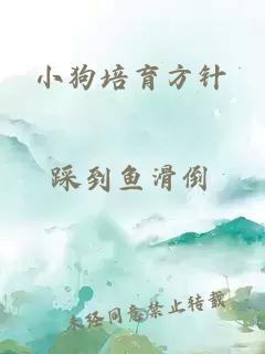 小狗培育方针