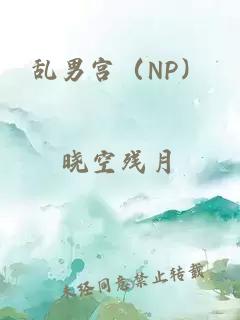 乱男宫（NP）