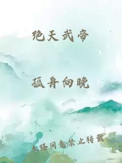 绝天武帝