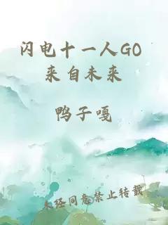 闪电十一人GO 来自未来